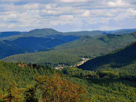 Wanderung Rimbachsteig 2016